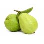 Guava Egypt Kg