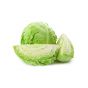 Cabbage White Clean Uae
