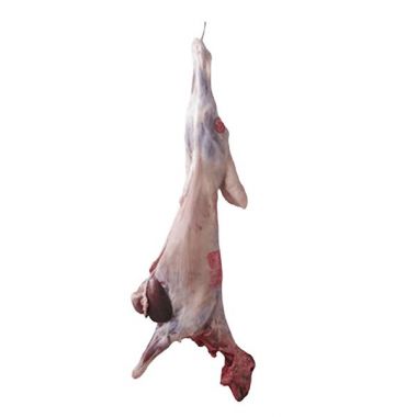 Naimi Lamb Carcass (s)