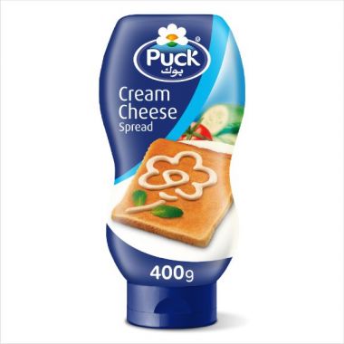 Cheese Cream Squeeze 400gm T1980