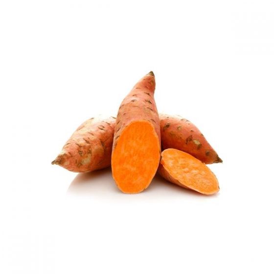 Sweet Potato Australia